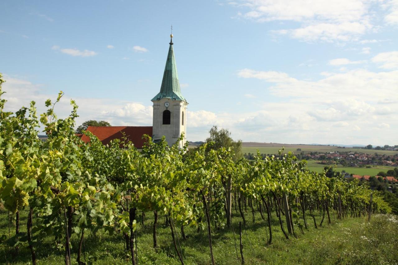 Ubytovani Ve Vinarstvi Medek | Medek House & Winery 우헤르스케 흐라디슈테 외부 사진