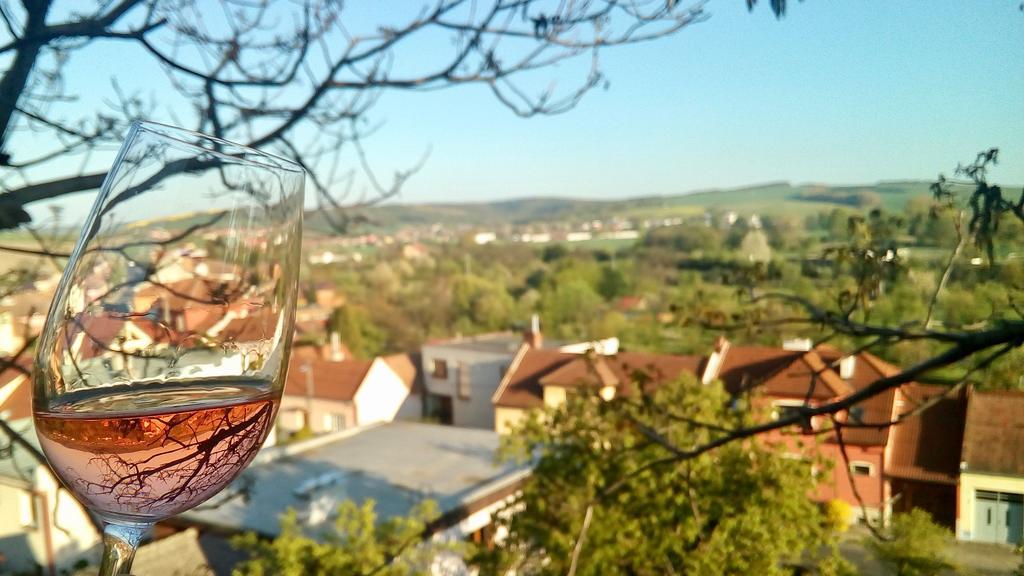 Ubytovani Ve Vinarstvi Medek | Medek House & Winery 우헤르스케 흐라디슈테 외부 사진
