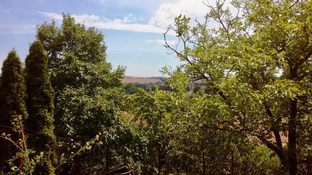 Ubytovani Ve Vinarstvi Medek | Medek House & Winery 우헤르스케 흐라디슈테 외부 사진