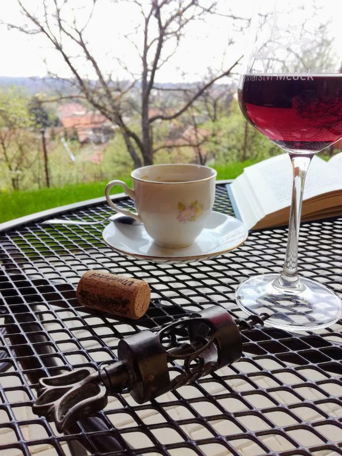 Ubytovani Ve Vinarstvi Medek | Medek House & Winery 우헤르스케 흐라디슈테 외부 사진